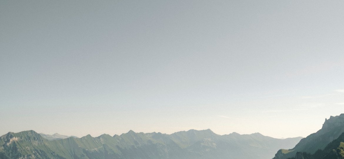 joel-jasmin-forestbird-znoL1m6MD_k-unsplash