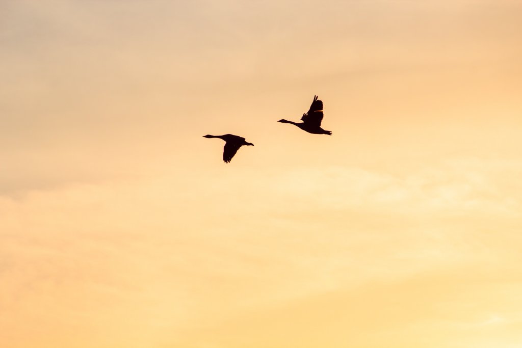 Daily Inspiration | May 26, 2020