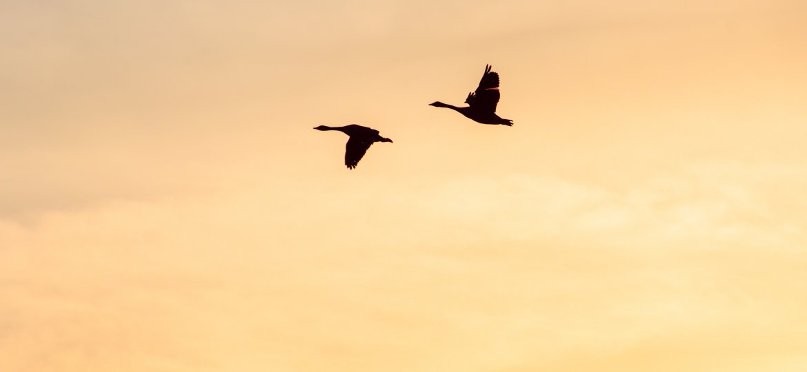 jeffrey-hamilton-knB89oNur0A-unsplash