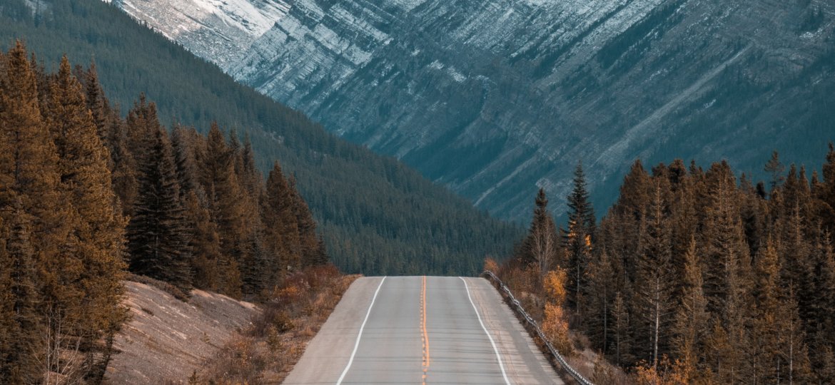 mark-basarab-z8ct_Q3oCqM-unsplash