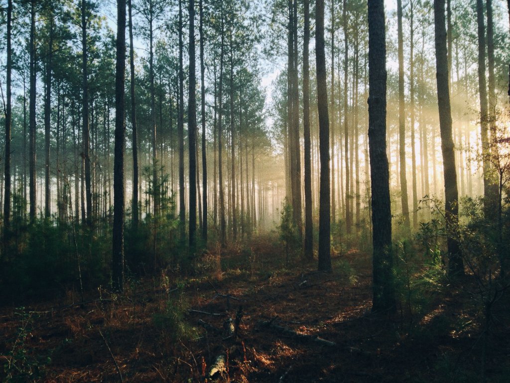Daily Inspiration | May 20, 2020