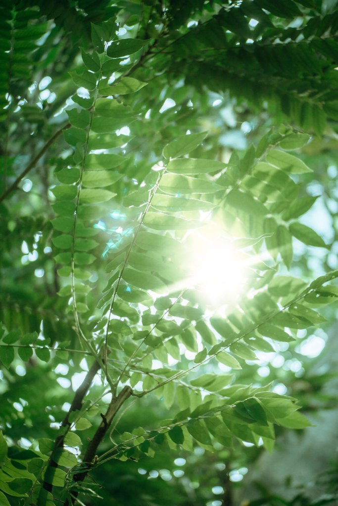 Daily Inspiration | July 6, 2020