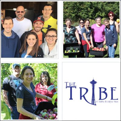 tribe-1b