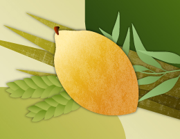 Sukkot26-Sm-Email-ArtOnly